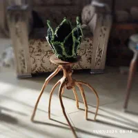 استند گلدان ریشه‌ای طبیعی کاملاً دست‌ساز تک‌نمونه