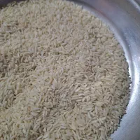 برنج ایرانی علی کاظمی به شرط پخت