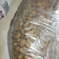 لوازم پت|لوازم جانبی حیوانات|بندرعباس, |دیوار