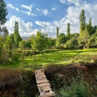 میلی گلد برنامه ای فوق العاده عالی