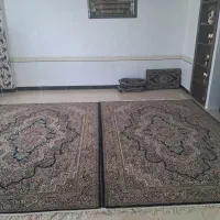 فرش|فرش|قروه, |دیوار