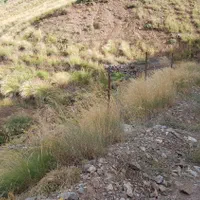 ۸۰۰متر زمین دربندسر بر جاده معدن زغال سنگ بدون سند|فروش زمین و ملک کلنگی|آسارا, |دیوار