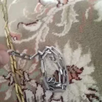 بلیجات|بدلیجات|بیرجند, |دیوار