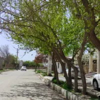 ۳۳۷mباغچه زمین سرمایه گذاری کرج سهیلیه زعفرانیه