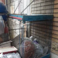 قفس کبوتری قدیم دستبافت