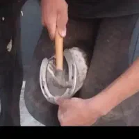 به یک نعل کار نیاز مندیم