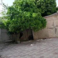 فروش-فوق-العاده-منزل-فلکه-ی-ولیعصر