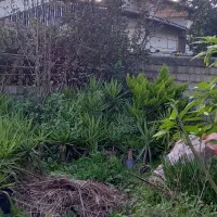 فروش-زمین-مسکونی