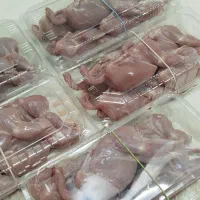 گوشت بلدرچین|خوردنی و آشامیدنی|قم, باجک سه|دیوار