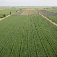 ملک کشاورزی ارزوییه