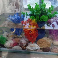 سنگ آکواریوم ارسال رایگان