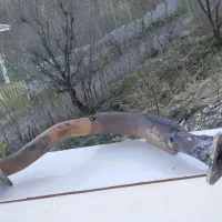 لوله گلویی اگزوز پراید استوک