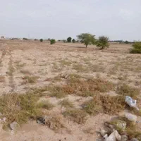 فروش زمین تا ۱ هکتار  رو به رو کشتارگاه|فروش زمین و ملک کلنگی|اهواز, اسماعیلیه|دیوار