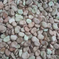 باقلا|خوردنی و آشامیدنی|قائم‌شهر, |دیوار