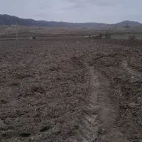 زمین اجاره ای