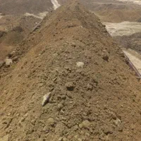 انواع کود گاو و گوسفندی