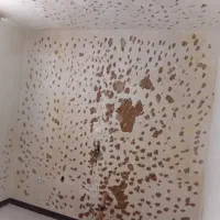 گچ کاری وبنای