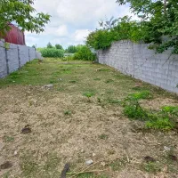 زمین۲۵۰متر مسکونی با استعلامات کامل دورمحصور|فروش زمین و ملک کلنگی|خشکبیجار, |دیوار