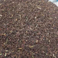 پخش  اسفند ساده و اسفند نخودی  اسفند رنگی همه نوع