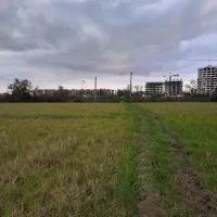 زمین ۱۸۰۰۰متری دربلوار لاکان کوچه ملکی|فروش زمین و ملک کلنگی|رشت, لاکان شهر|دیوار