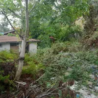 زمین ۲۵۰متر سندتکبرگ شهری خیابان نواب