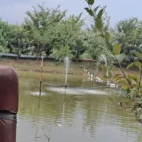 فروش زمین همراه با استخر ماهی