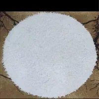 پادرری طوسی سالم