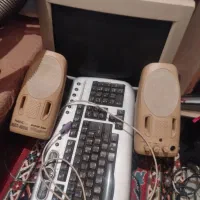 مانیتورواسپیکر