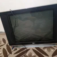 تلویزیون