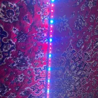 نور roxin یک متری