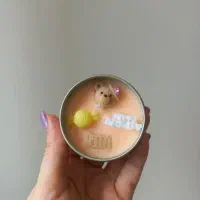 گیفت تولد مدرسه،دندونی،عروسی،تعیین جنسیت|صنایع دستی و سایر لوازم تزئینی|مشهد, آزادشهر|دیوار