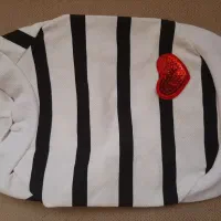 لباس و لوازم جانبی خارجی سگ