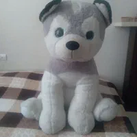 عروسک ترک نو