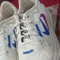 زرگان|کیف، کفش، کمربند|کویرات, |دیوار