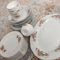 گلسرخی زرین و پنج ستاره|ظروف سرو و پذیرایی|کرمانشاه, |دیوار