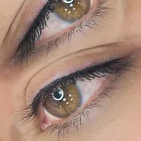 مدل ،آرایش دائم میکرو ابرو خط چشم تاتو بدن|خدمات آرایشگری و زیبایی|رشت, لاکانی|دیوار