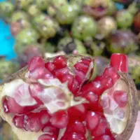 ترشی انار|خوردنی و آشامیدنی|رشت, پارک شهر|دیوار