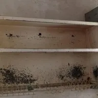 آبچکان