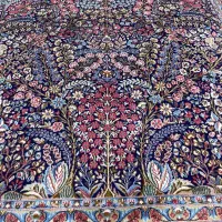 فرش دستباف راور کرمان (ماکرج درخدمت عزیزان هستیم )|فرش|تهران, شهرک غزالی|دیوار