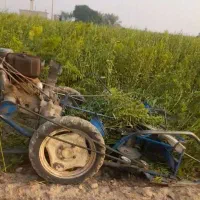 درو کردن رازیانه بادستگاه دروگر بابسته بندی|خدمات باغبانی و درختکاری|رزن, |دیوار