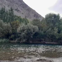 وام میخوای. بخوان