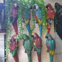 مجسمه طوطی کاسکو دیوارکوب دیواری