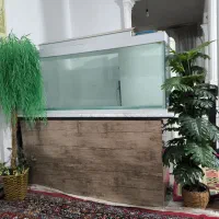 آکواریوم|ماهی|خرم‌آباد, |دیوار