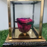 گل رز همیشه جاویدان