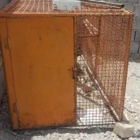 قفس فنس دار