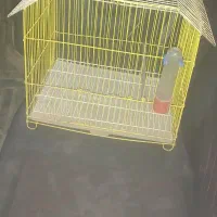 قفس پرنده باوسایل دربرازجان