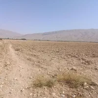 فروش زمین|فروش دفتر صنعتی، کشاورزی، تجاری|فسا, |دیوار