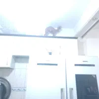 9متر کابینت فلزی در حد نو بدون خط وخش با هود وسنیک|آب‌چکان و نظم‌دهنده ظروف|قرچک, قشلاق جیتو|دیوار