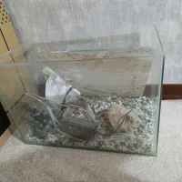 اکواریوم منحنی درحد