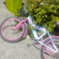 دوچرخه نو سایز بیست